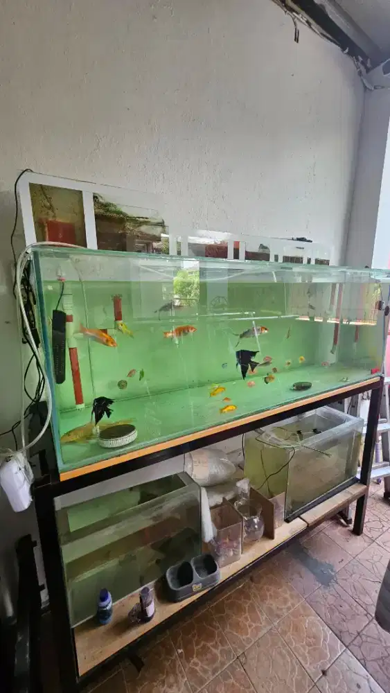 Aquarium set china style 150 cm x 50 cm