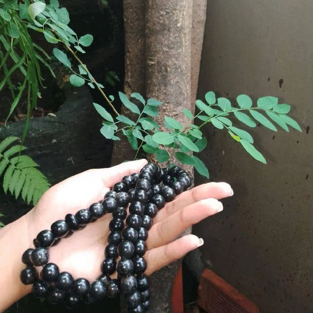 TASBEH KERAMAT AMPAR JATI