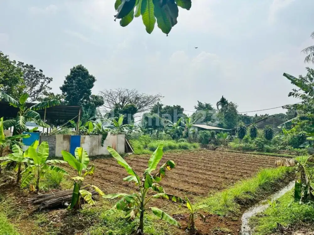 Tanah Darat Dekat Setu Cilodong Peluang Untuk Investasi