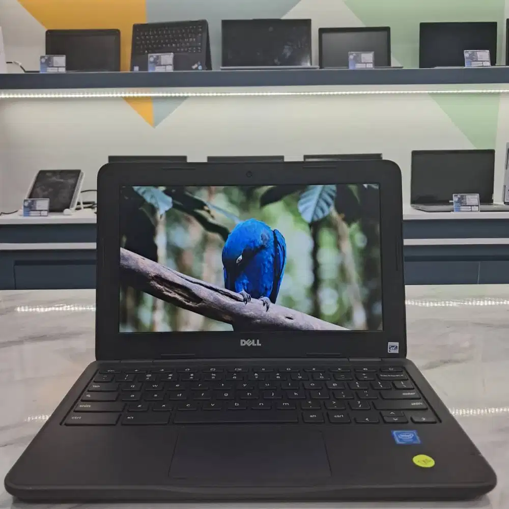 [D02] Laptop DELL | Windwos |4GB |166GB | Cocok untuk Pelajar