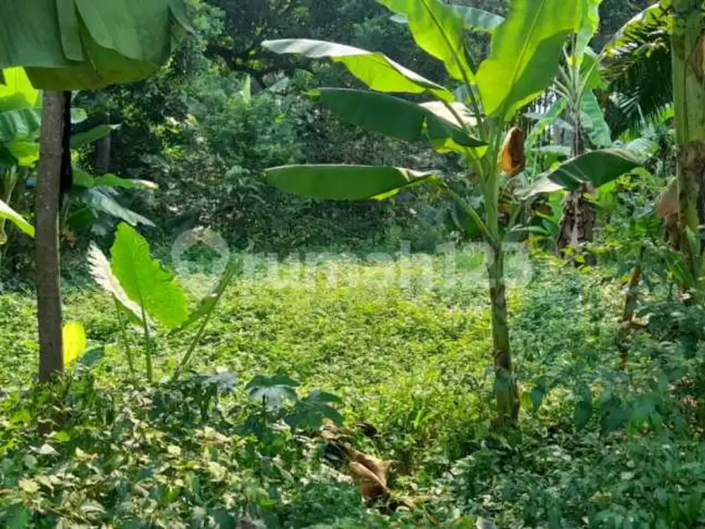 Lahan di Sawangan Baru Cocok Untuk Cluster Harga Murah