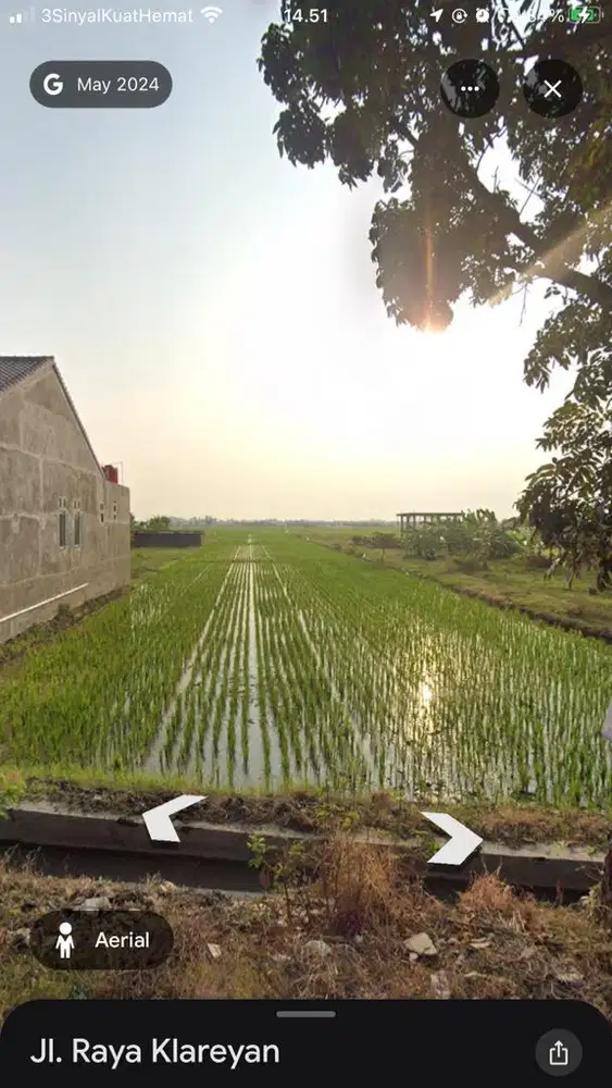 Dijual tanah sawah.