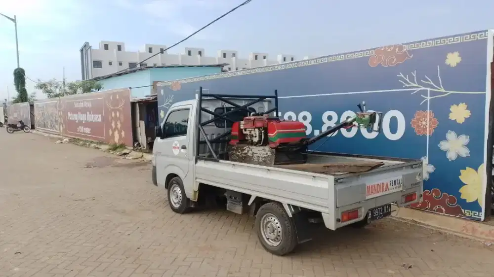 Baby roller 2ton stemper kodok molen