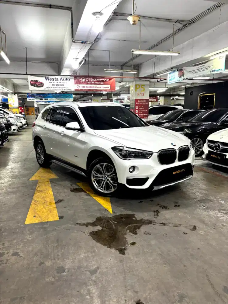 Panoramic ODO 36b BMW X1 Xline Sdrive F48 AT 2016 Antik