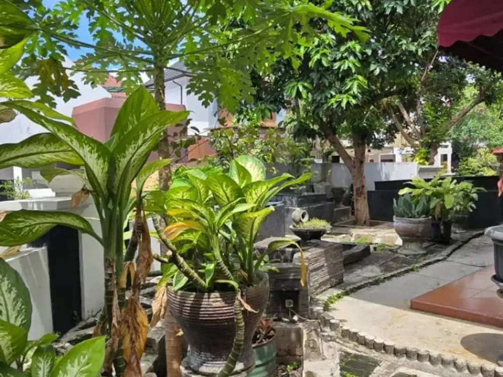 Jual Murah Rumah Hitung Tanah Di Taman Puri Bintaro Sektor 9 (SP0922)