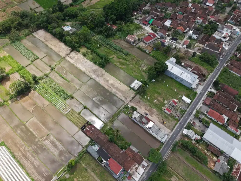 Tanah SHMP 300 Jutaan Mangku Jl Pandowoharjo Sleman