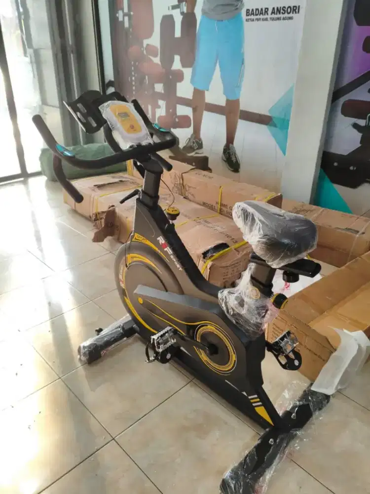 spinning bike 43sb