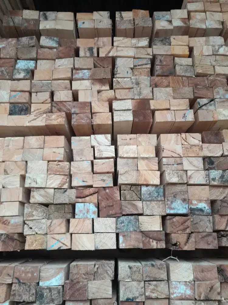 Kayu buat proyek