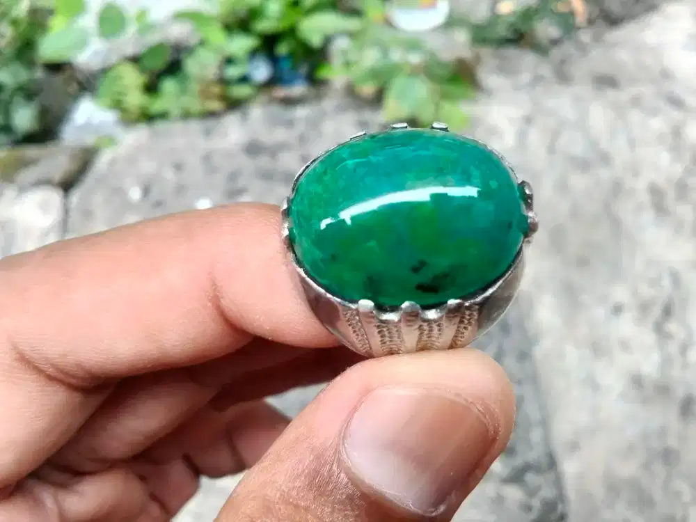 Bacan doko hijau big size