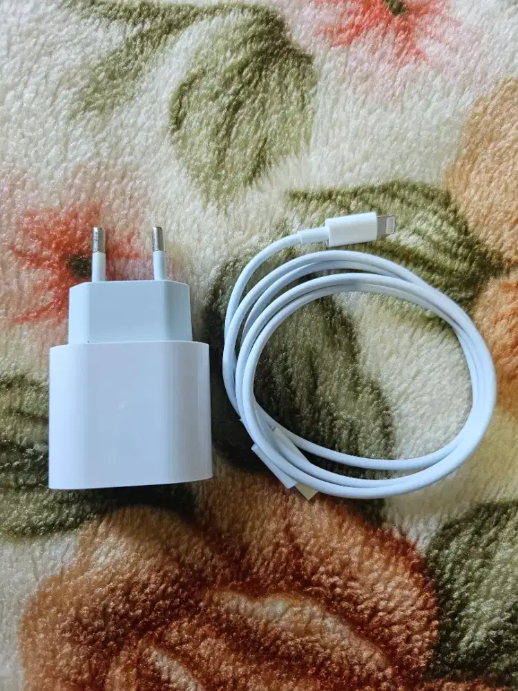 Charger iPhone REAL Fast Charging