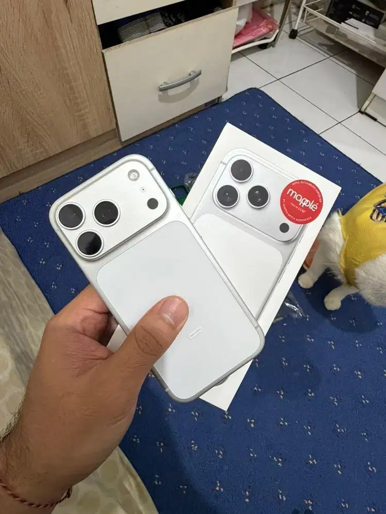 17 pro 256gb silver