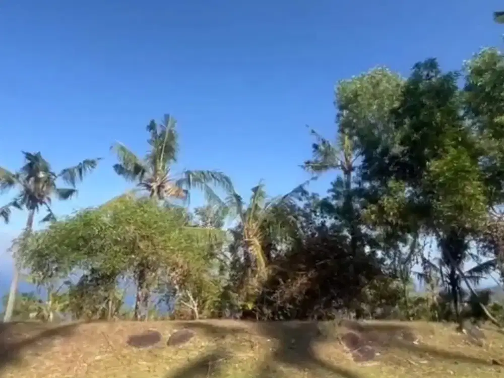 Land for Sale in Batu Layar, Lombok | Premium Hilltop Investment Opportunity