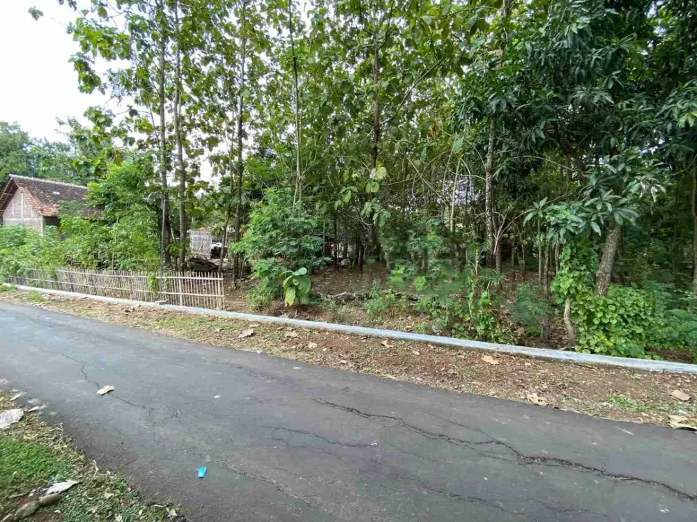 Dijual Tanah Pekarangan 
Luas 204m 
1,5 KM Selatan BRI Godok, Kenokorejo, Polokarto, Sukoharjo 
lebar muka 7,3m, lebar belakang 7,6m 
lebar jalan 6m