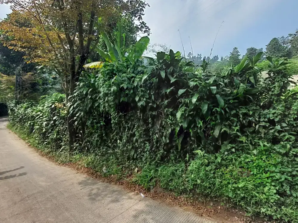 Kavling Tanah area Gunung Geulis Sentul harga di bawah NJOP di pinggir jalan Lodaya dekat Cisadon