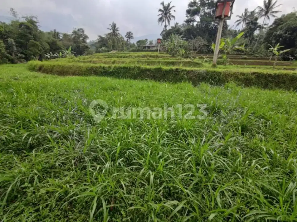 Tanah Produktif 8300 M2 SHM Bonus Bangunan dan Isinya di Cidahu