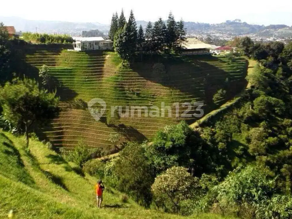 Tanah 10 Hektar SHM di Lembang Bandung Dibawah Harga Pasar