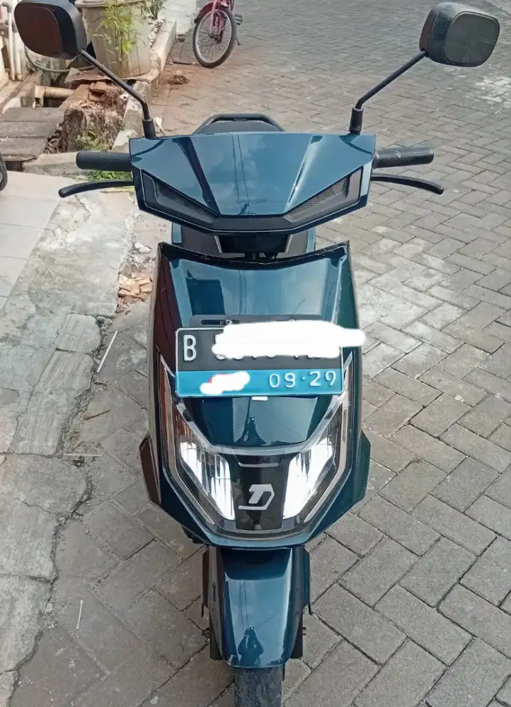 Molis bekas berkualitas