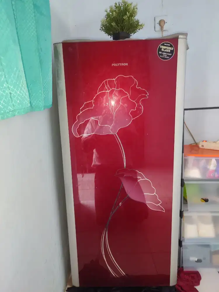 Kulkas Polytron 1 pintu