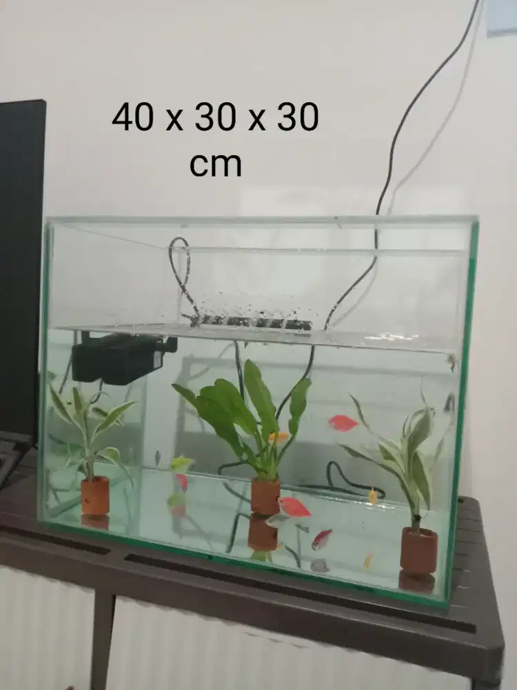 Akuarium ada 2 buah