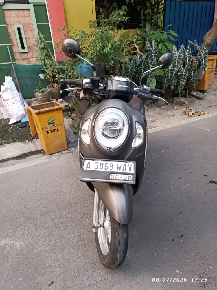 Scoopy Prestige