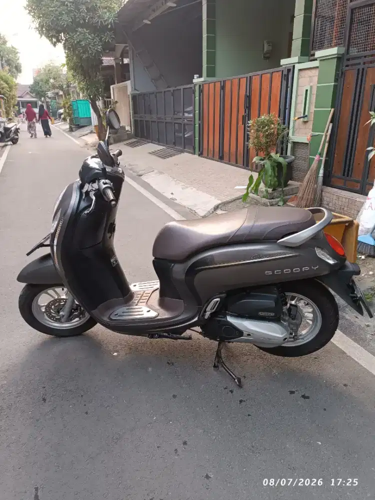 Scoopy Prestige