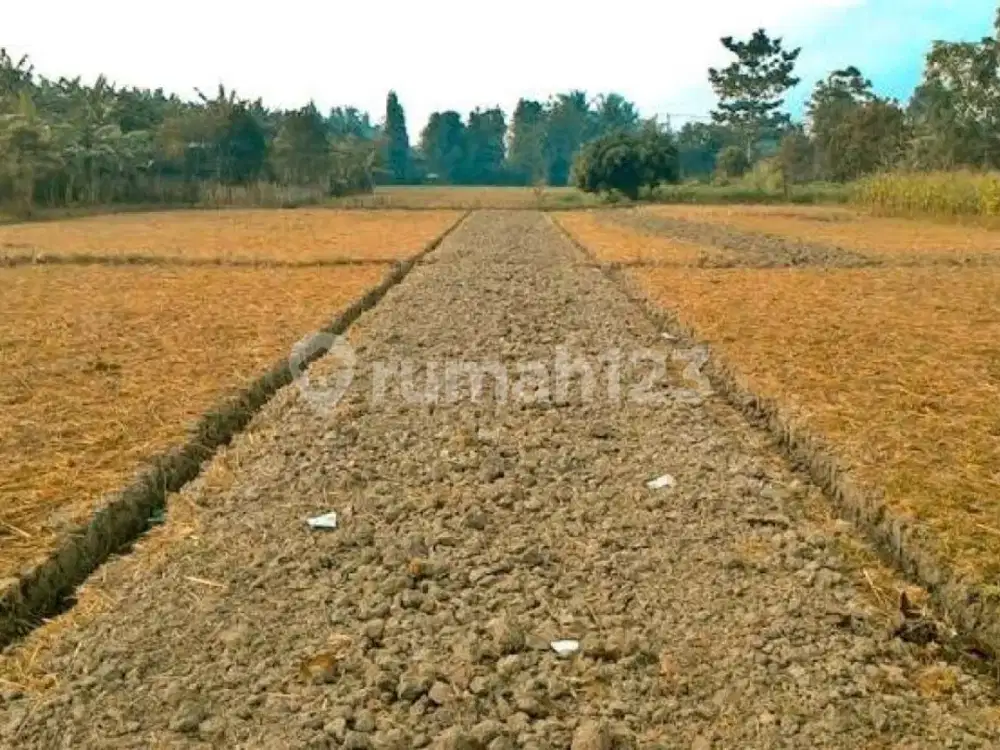 Dijual Kavling Lokasi Strategis di Suvarna Sutera