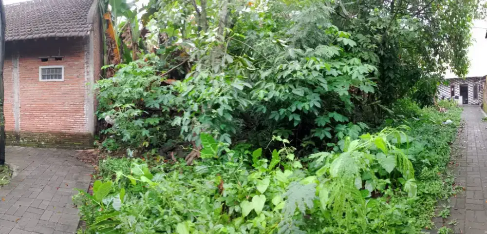 Dijual tanah Kavling strategis, padat penduduk. WA.08563558491