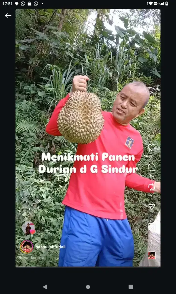 TANAH MURAH DIJUAL CEPAT KEBUN DUREN BERBUAH