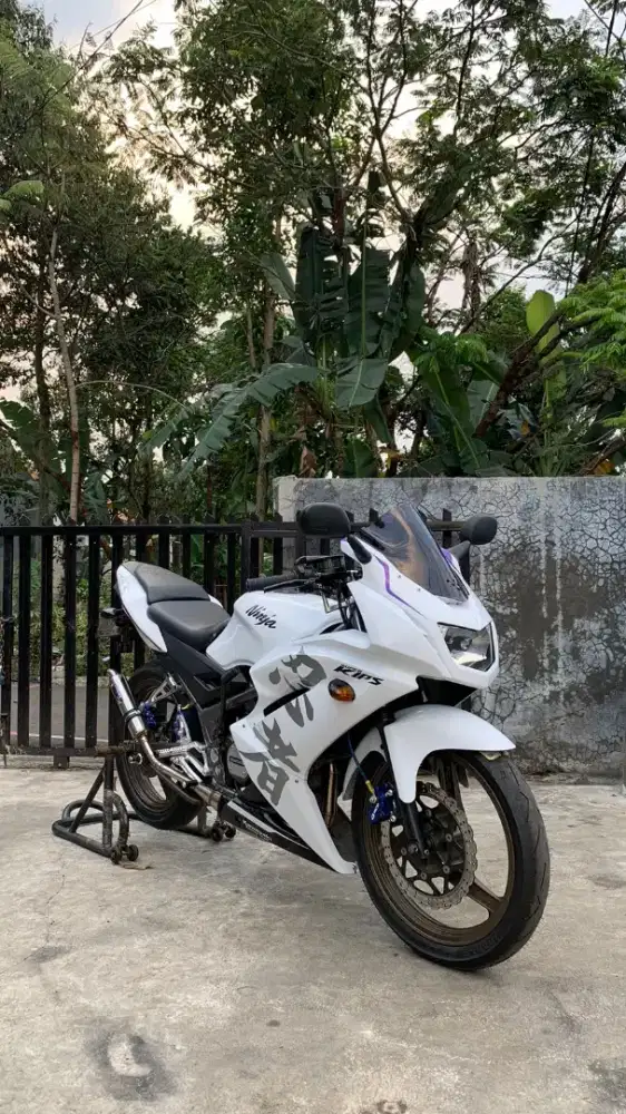 Kawasaki Ninja RR 2012