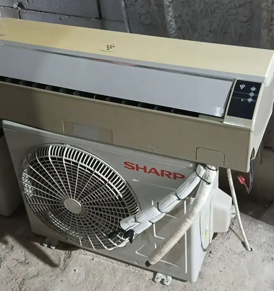 Ac sharp 1/2 pk R 32