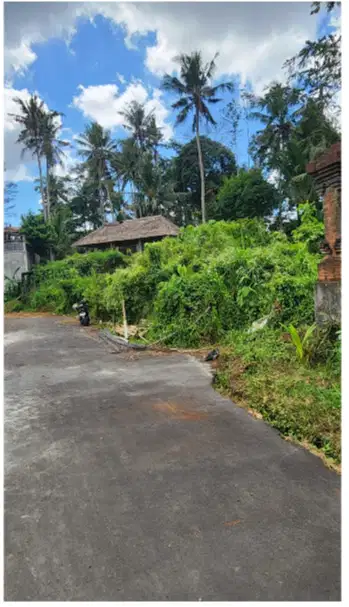 Tanah 185 m2 di Semana Ubud