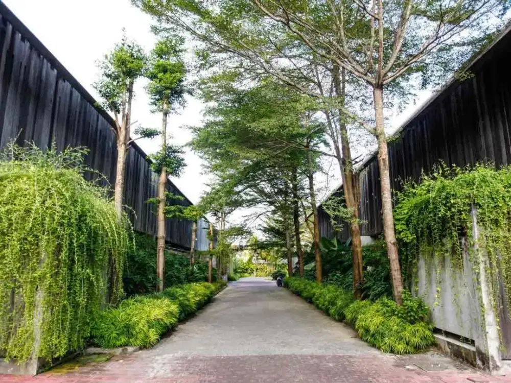 BEAUTIFUL 3-BEDROOM FREEHOLD VILLA – CANGGU, BERAWA