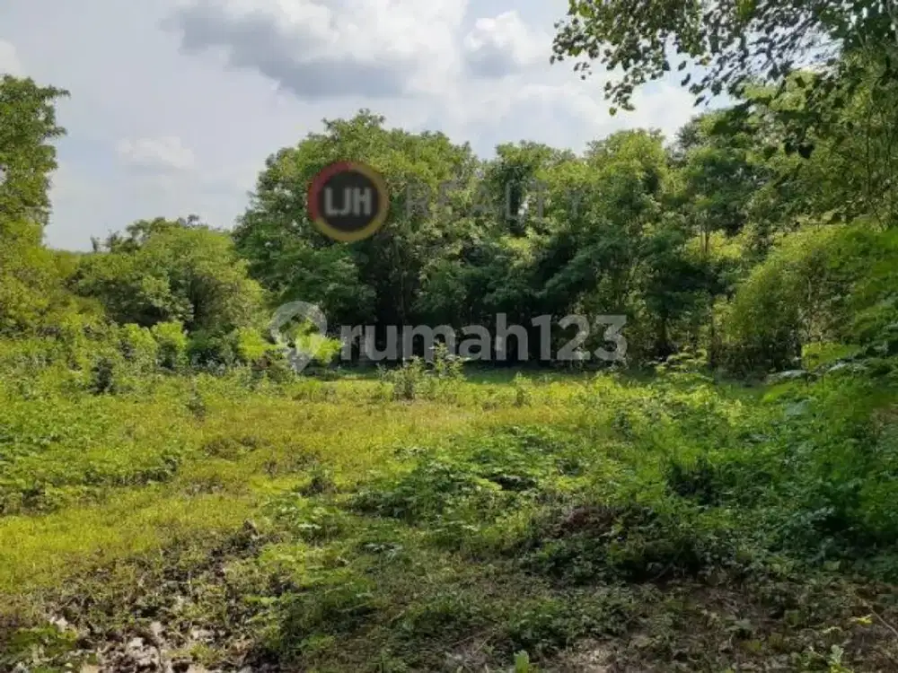 Tanah Tangguntiti Tabanan Bali
