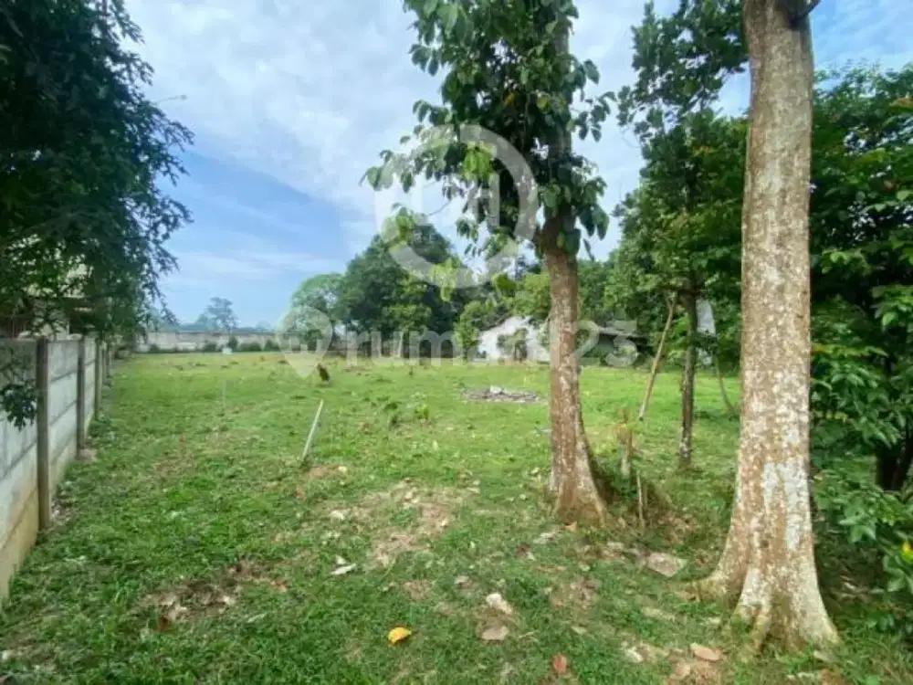 Dijual Tanah di Desa Dandang Cisauk Tangerang