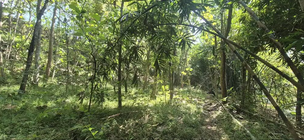 Dijual Tanah Pekarangan Gunung Berkayuyy