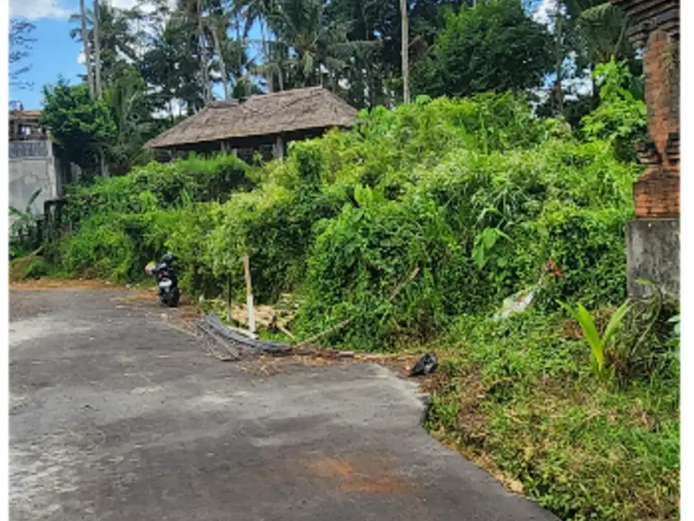 Tanah 185 m2 di Semana Ubud