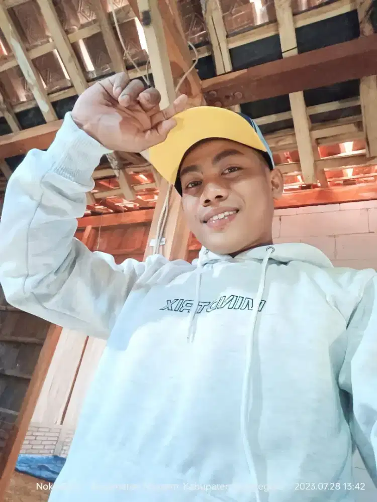 Sopir pribadi atau sopir lainnya