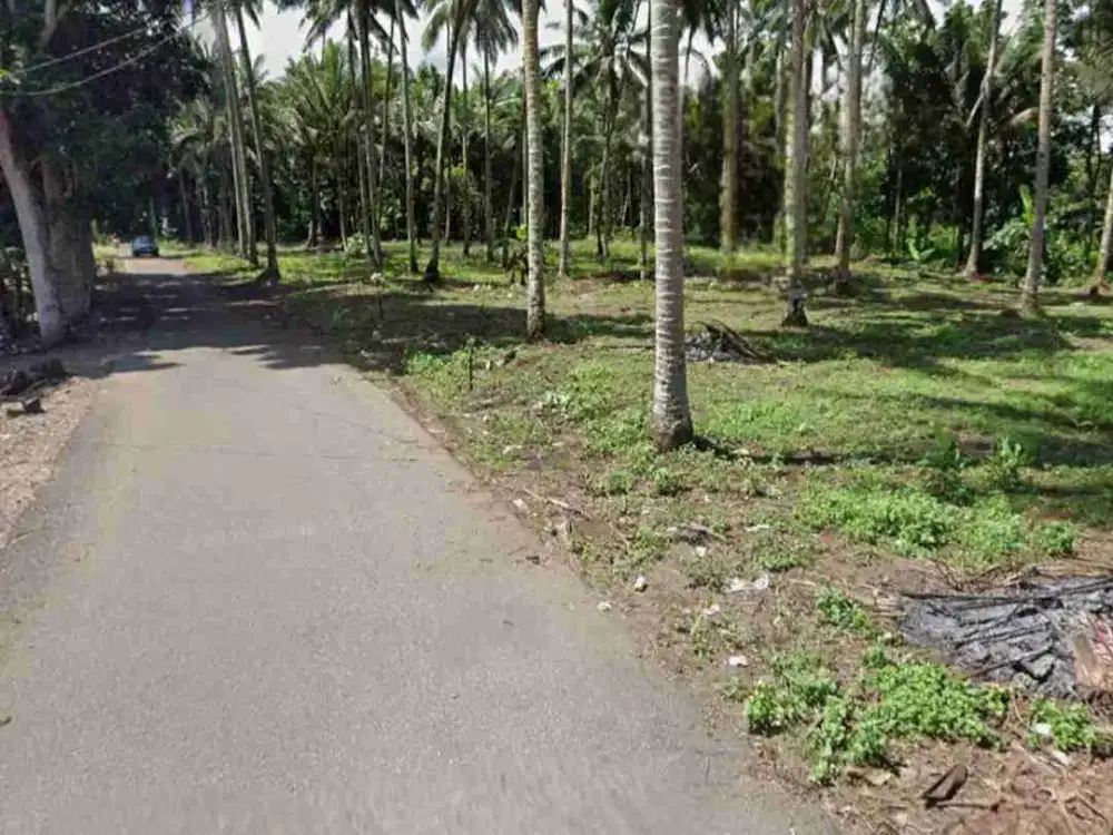 DIJUAL CEPAT TANAH CANTIK DAERAH MATUNGKAS, HARGA SANGAT MURAH