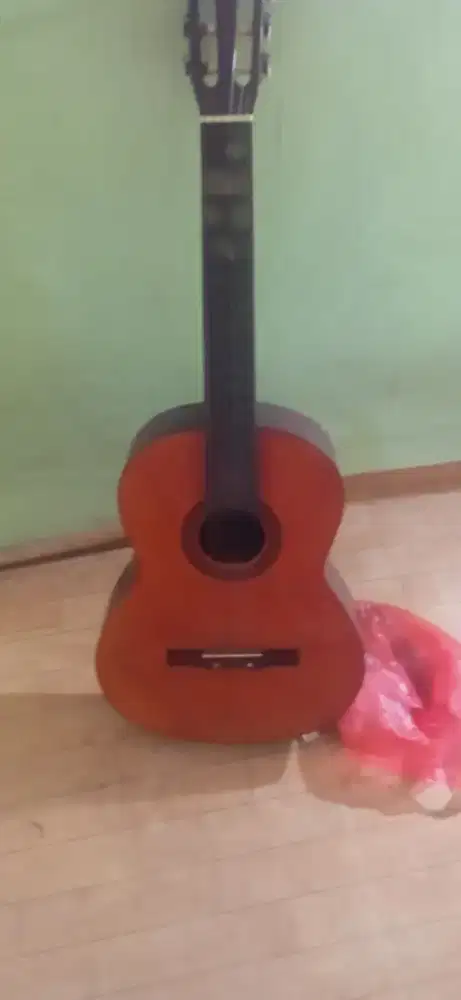 Gitar Akustik Yamaha C310