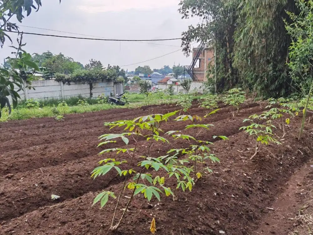 Dijual Tanah Kavling Siap Bangun