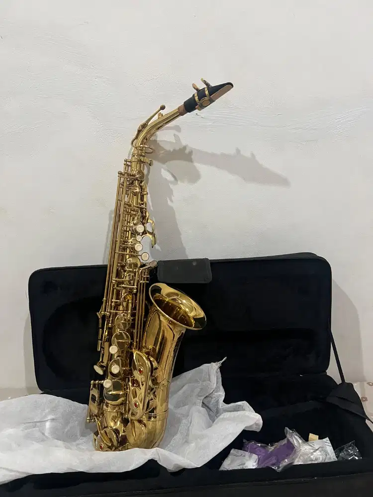 Paladin Alto Saxophone