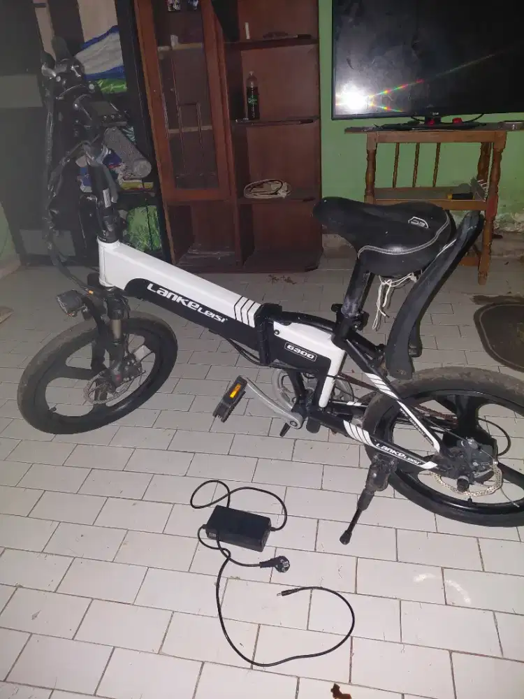 Merk lenkesei G300