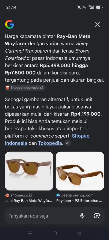 Ray-Ban Meta Wayfarer