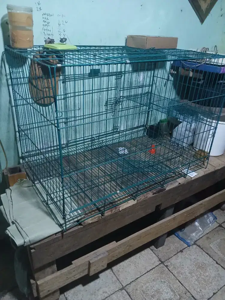 Kandang kotak besi jumbo