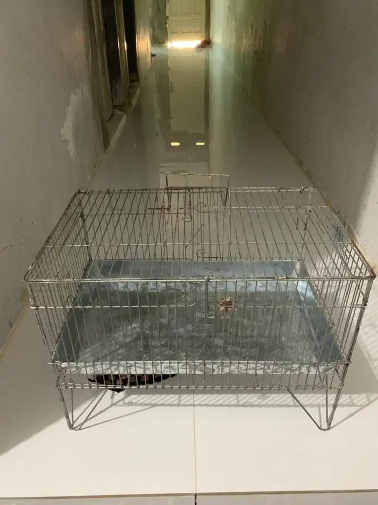 Kandang mandi burung