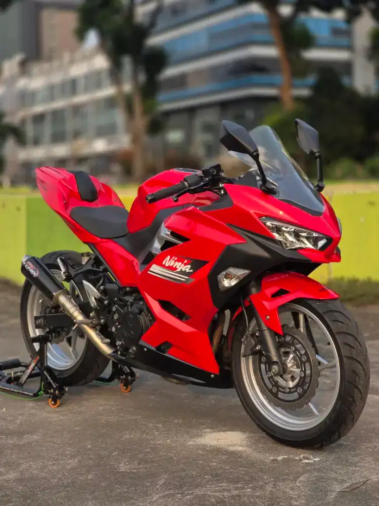 Kawasaki New Ninja 250 FI With Prolainer