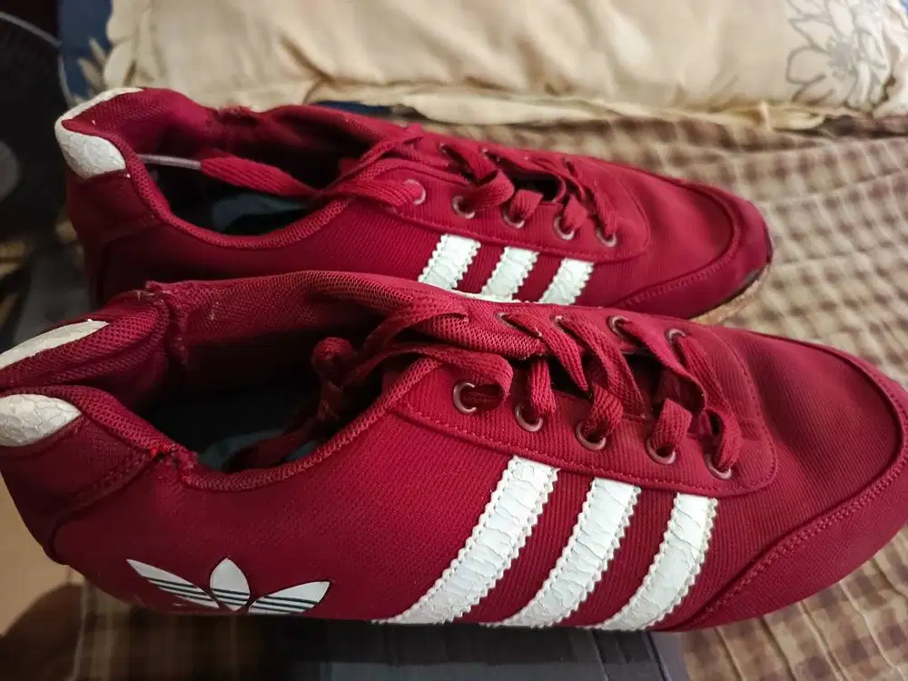 Sepatu Adidas Pria