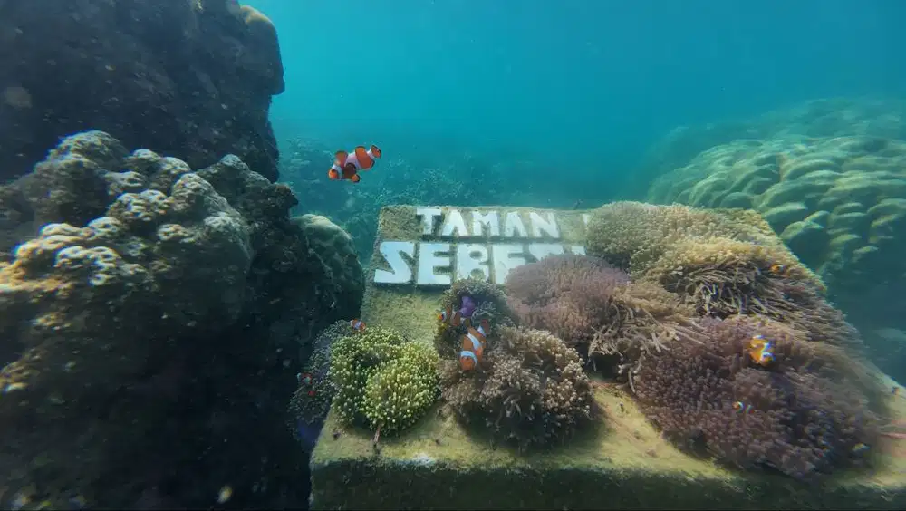 Mencari ART PP di Gunung Sindur/ Parung