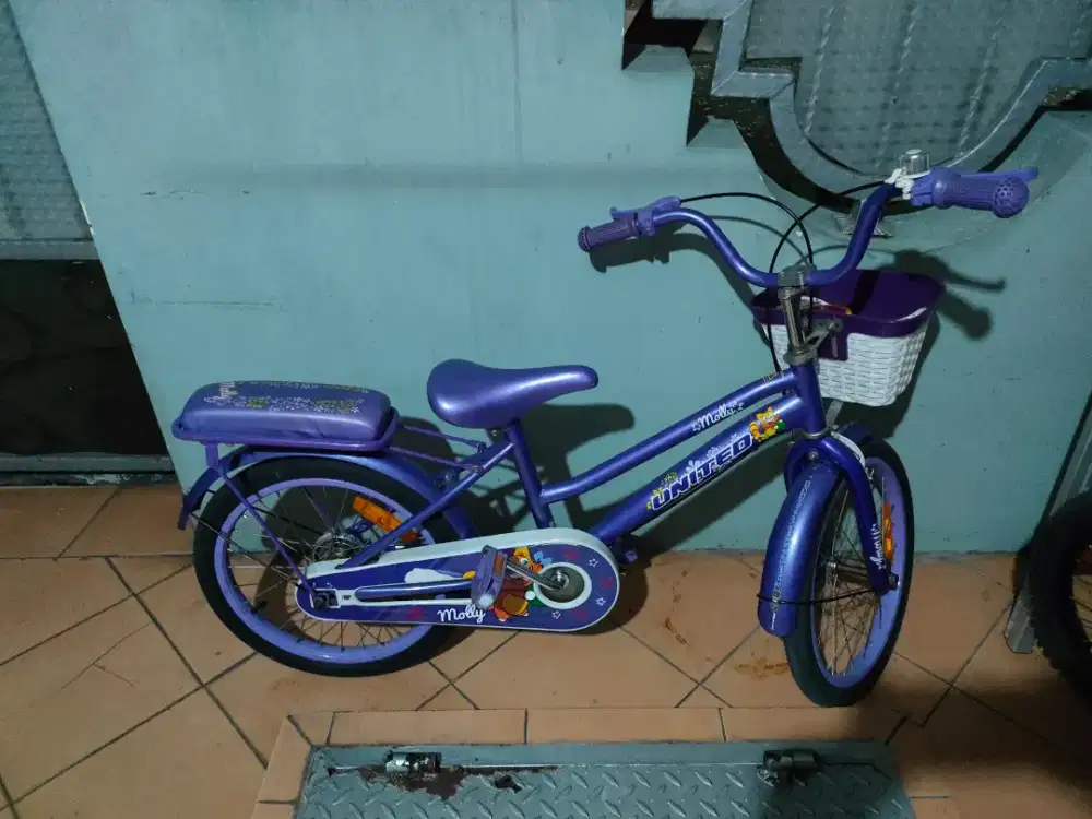 Dijual sepeda anak United Molly 18