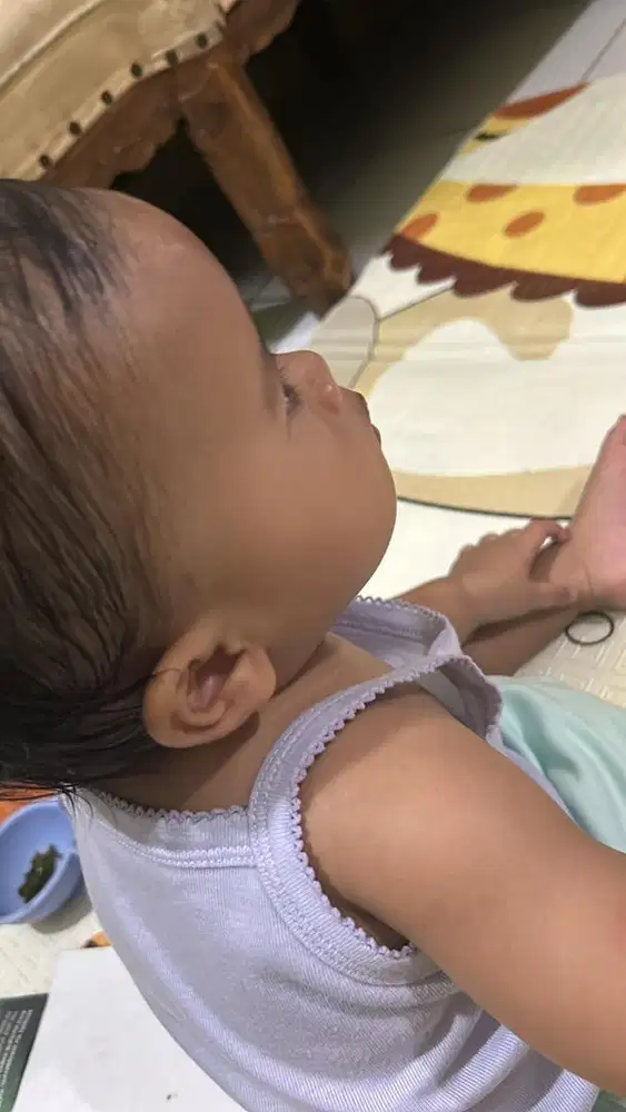 Pengasuh art bayi